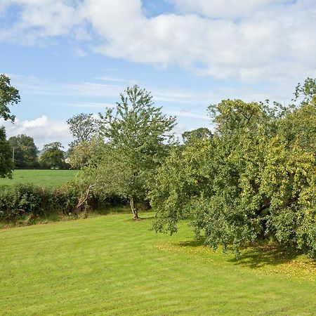 Standon Fir Tree Cottage מראה חיצוני תמונה